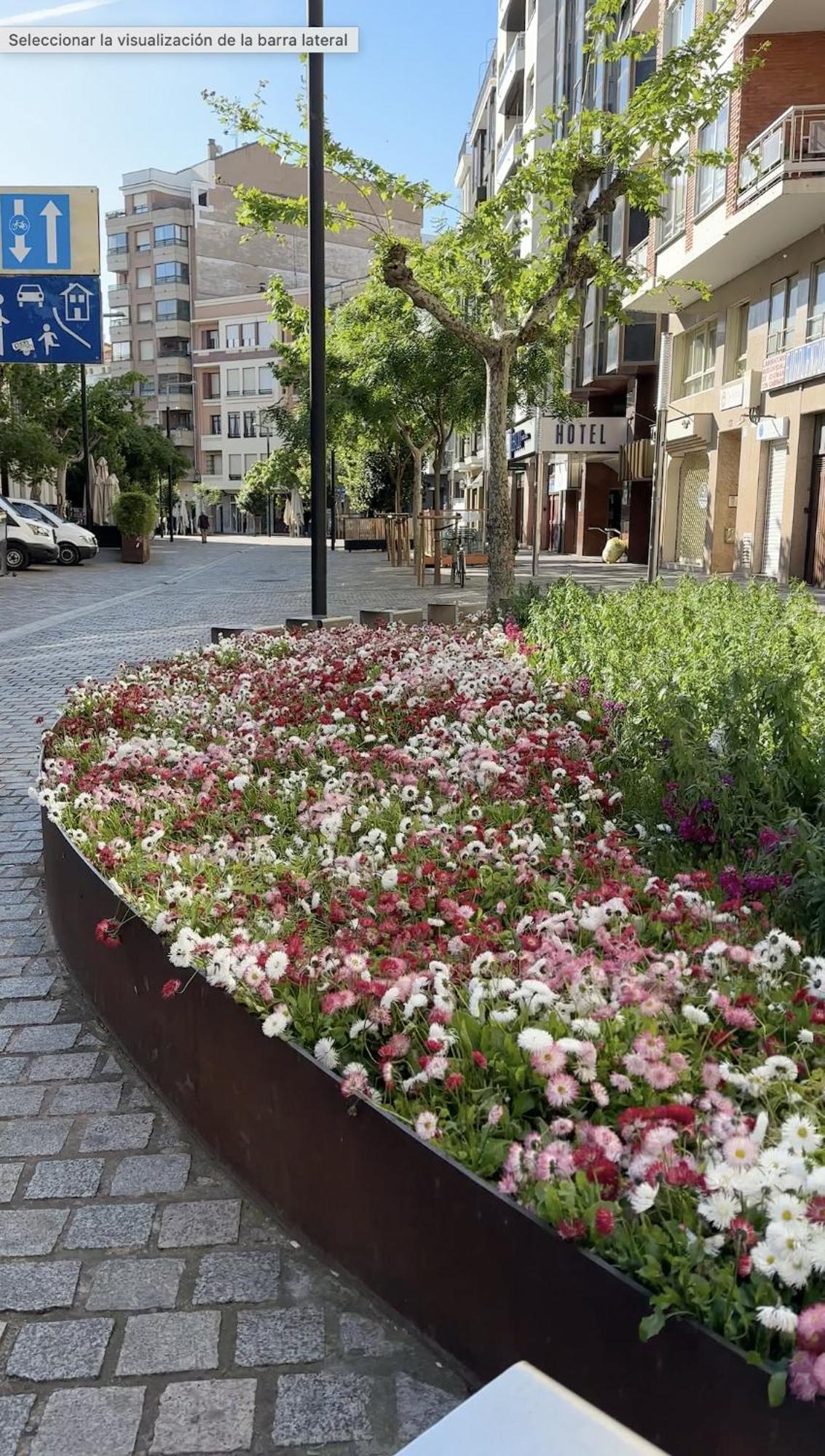 דירות לוגרוניו Esencia Del Casco Antiguo מראה חיצוני תמונה